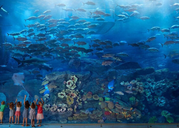 Banner Dubai Aquarium